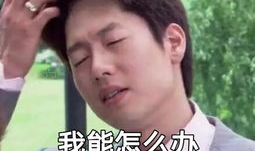 渣男专用壁纸女,捕捉美丽瞬间,唤醒情感共鸣”